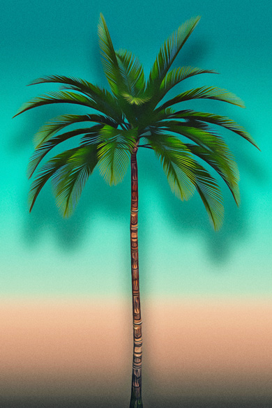 Bild einer Palme vor einer bunt angemalten Wand